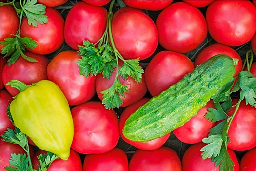 成熟,西红柿,鲜明,红色,小,尺寸,胡椒,黄瓜