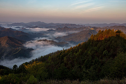 石潭,云海,安徽,山沟,油菜花,风光,壮观,气候,环境,仙境,诱惑,秀美,俯瞰,村庄