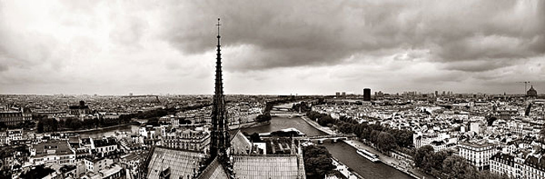 巴黎,屋顶,全景,风景,巴黎圣母院,大教堂