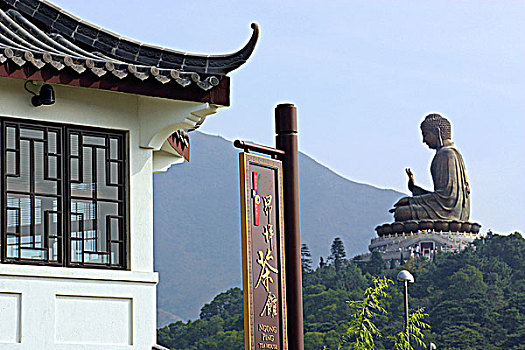 茶园,乡村,大佛,雕塑,远景,背景,大屿山,香港
