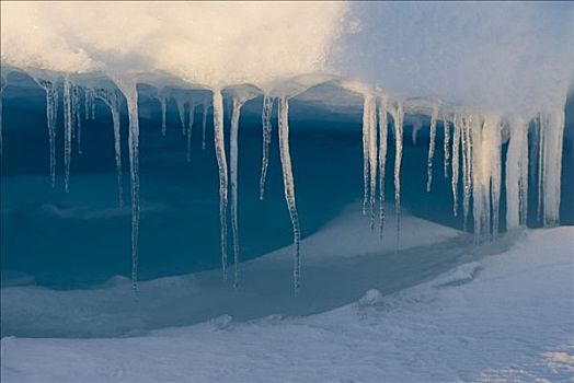 冰柱,悬挂,浮冰,靠近,手推车,阿拉斯加,纪录,高,温度