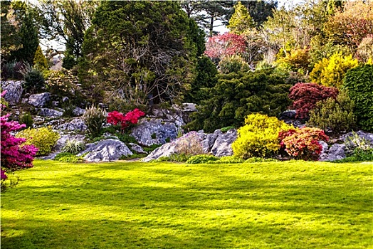 花园,基拉尼国家公园,爱尔兰