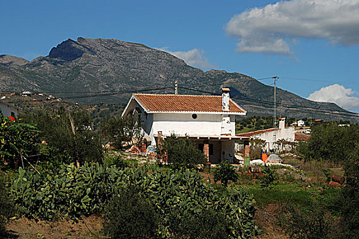 郊区住宅,山,西班牙