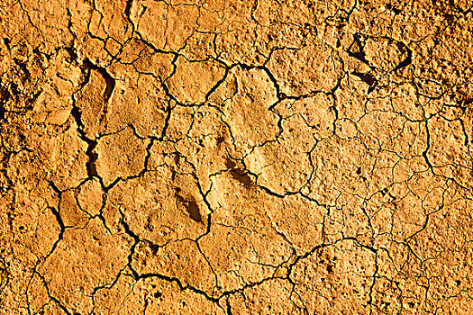 缝隙,干枯,土,干旱,马拉加省,西班牙