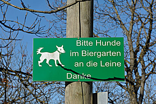 标识,德国,狗,拴狗绳,啤酒坊,秋天,慕尼黑,巴伐利亚,欧洲