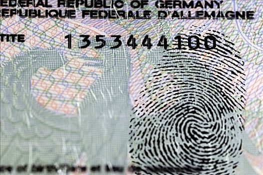 德国,身份证件,指纹,存储,生物测量,数据