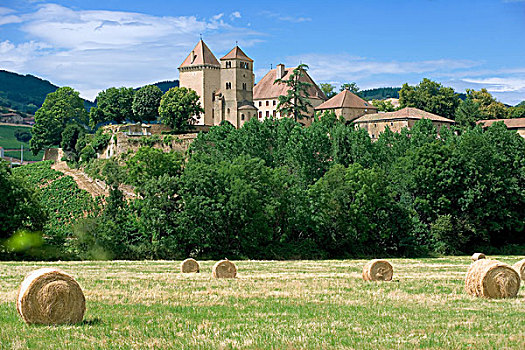 干草包,城堡,14世纪,酒乡,勃艮第,法国