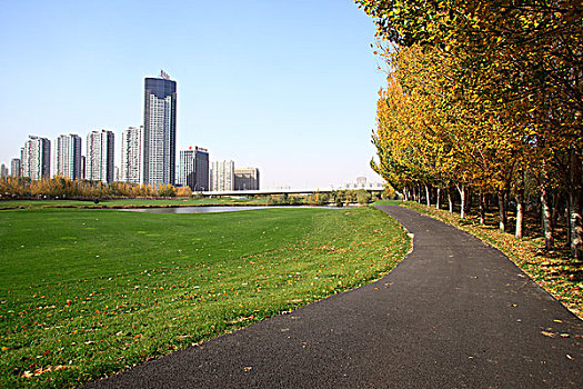 高尔夫球场,树木,秋天,城市
