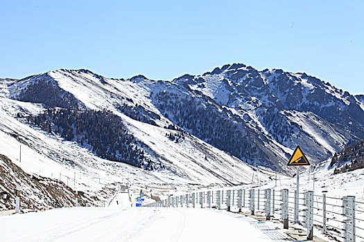 天山雪韵