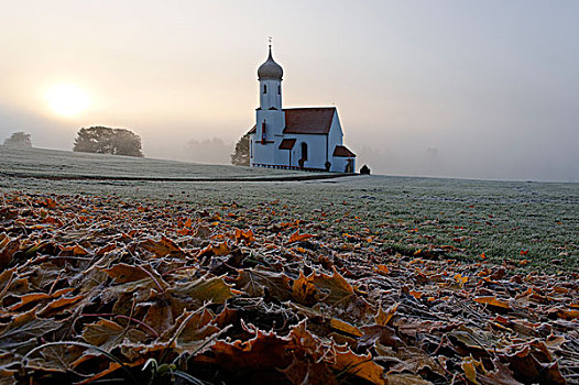 小教堂,靠近,晨雾,白霜,上巴伐利亚,德国,欧洲