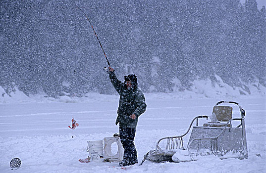 钓鱼,雪地,加拿大