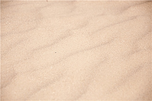 沙子,海滩,特写
