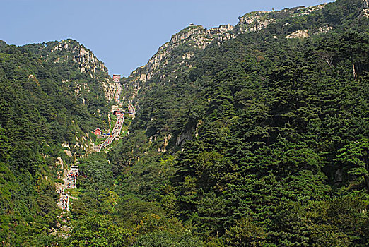 景色,区域,泰山