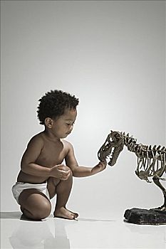 男孩,玩,恐龙,骨骼
