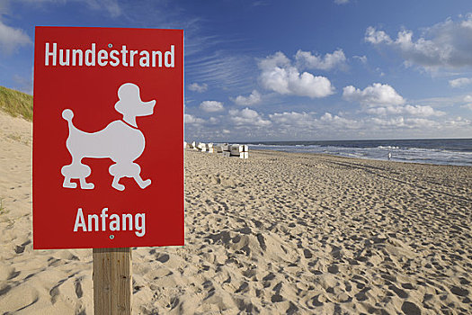 狗,海滩,标识,北弗里西亚群岛,石荷州,德国