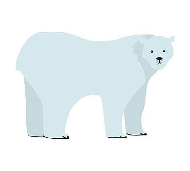北极熊,风格,矢量,野生,危险,食肉动物,北方,动物,物种,自然,概念,孩子,书本,材质,隔绝,白色背景,背景,插画,设计