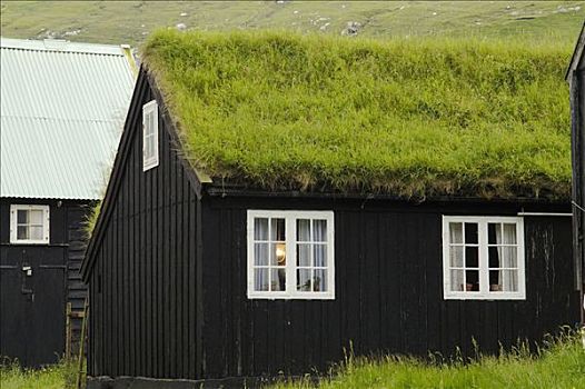 木屋,草,屋顶,乡村