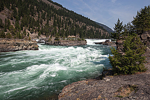 瀑布,河,靠近,蒙大拿,省,美国,北美