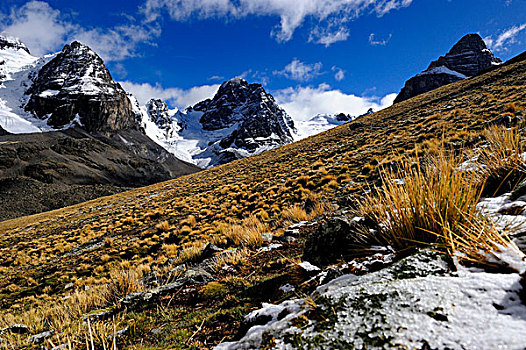 安迪斯山脉,高原,玻利维亚,南美