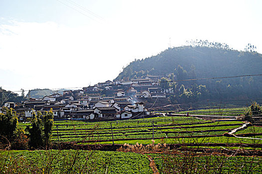 云南元谋楚雄县道,乡村农村,田野