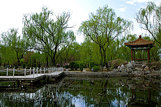 中國古典園林湖泊中的石板橋和涼亭