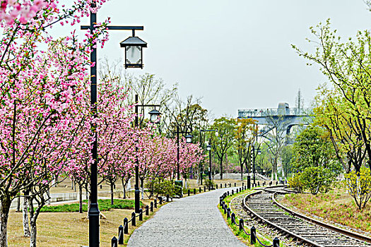 杭州白塔公园春景