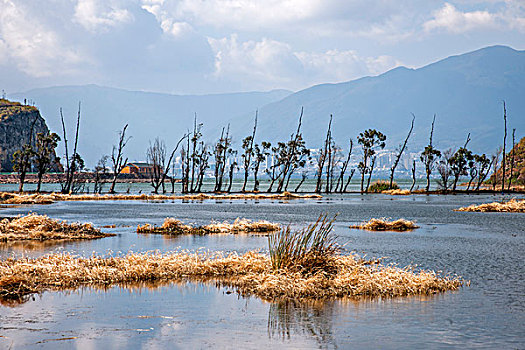 云南大理海东镇洱海湿地