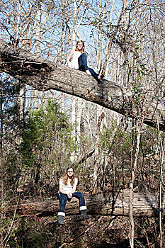 两个,相似,女孩,坐,树,树干,树林,北卡罗来纳,美国
