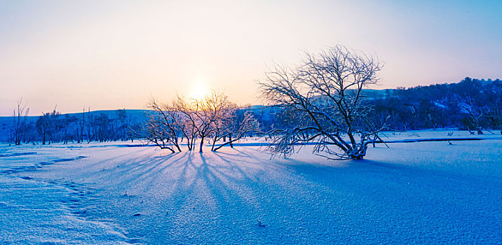 雪景