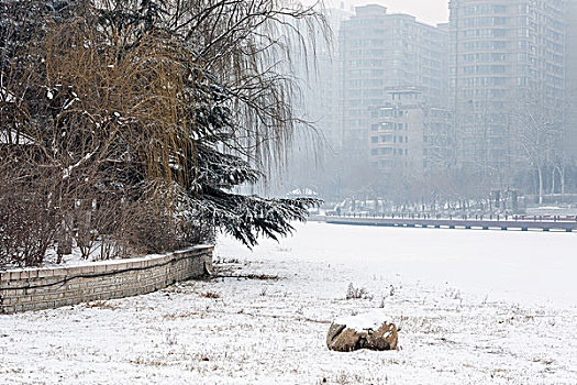 公园雪景