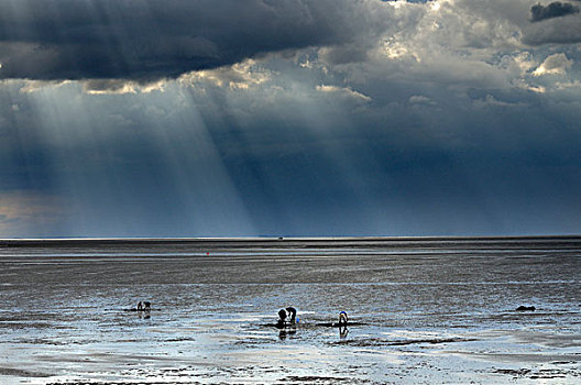 湾流,泥滩,风暴,云,光照,阳光,诱饵,洗,诺福克,英格兰,欧洲