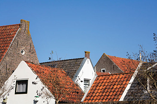 荷兰,屋顶