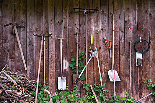 园艺工具,墙壁
