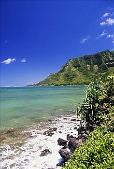 夏威夷,瓦胡岛,湾,青绿色,蓝色,海岸线,茂密,绿色,山峦,远景