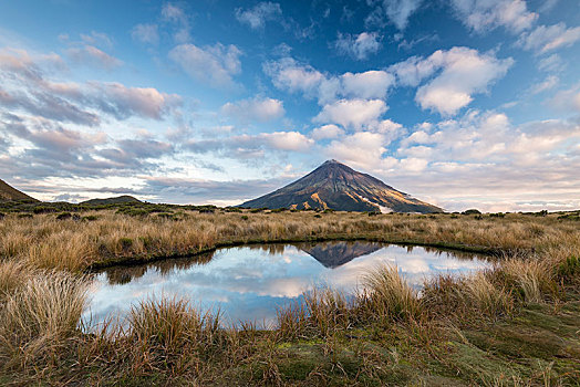 层状火山,攀升,塔拉纳基,反射,山中小湖,艾格蒙特国家公园,北岛,新西兰,大洋洲