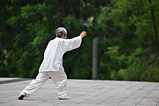 老人年打太极拳