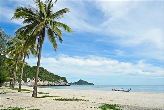 热带,沙滩,泰国