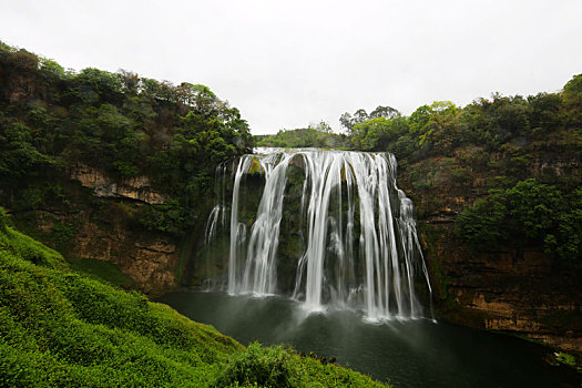 黄果树