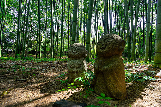 日本京都嵯峨野岚山竹林的小佛像石刻