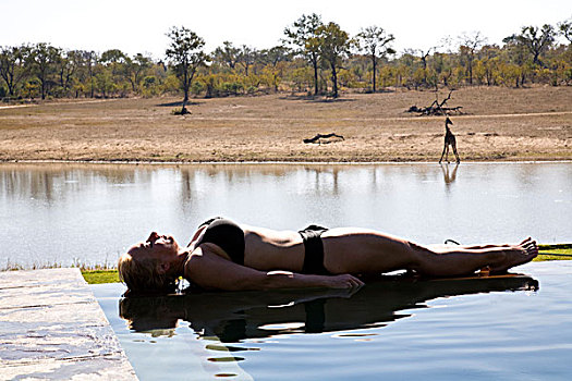 女人,游泳池,狩猎小屋,南非