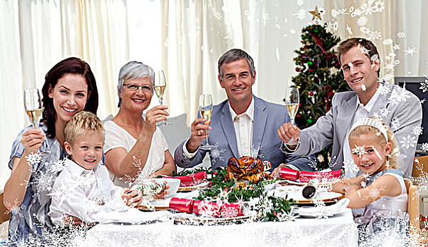 家庭,圣诞晚餐,白葡萄酒