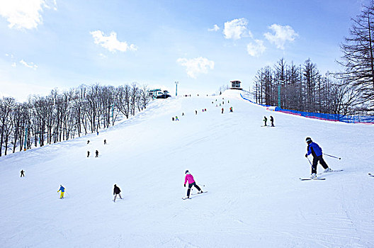 滑雪,地点,北海道