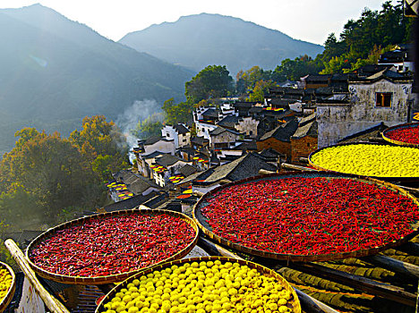 风景