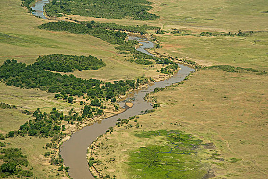 非洲,肯尼亚,飞机,飞跃,马赛马拉国家保护区,风景,马拉河,靠近,塞雷纳,大幅,尺寸