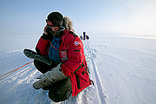 挪威,区域,狗拉雪橇,北极圈,探索者,停止,哈士奇犬,团队,电话,冰冻,湖