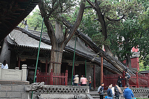 山西太原晋祠