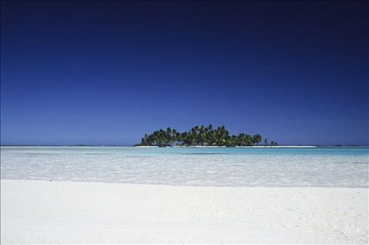玻利尼西亚,朗日劳阿岛,环礁,棕榈树,海滩
