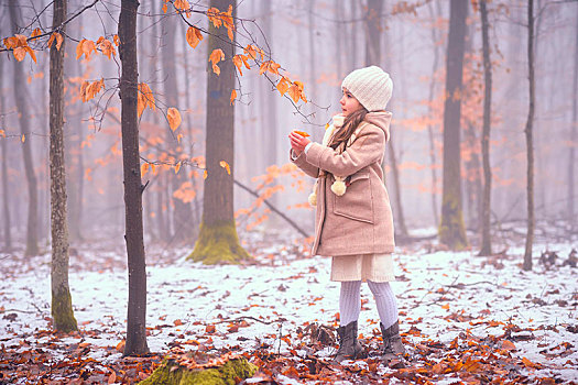 女孩,7岁,老,树林,雾,冬天,巴登符腾堡,德国,欧洲