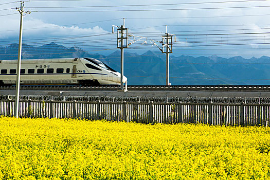 田园风光