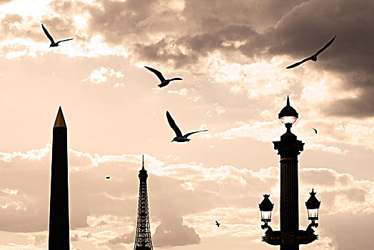 巴黎,地区,地点,协和飞机,方尖塔,埃菲尔铁塔,枝状大烛台,鸽子,日落
